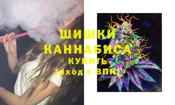 соль ск Верхний Тагил