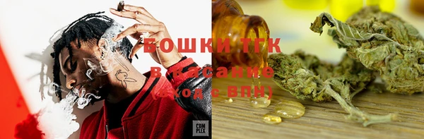соль ск Верхний Тагил