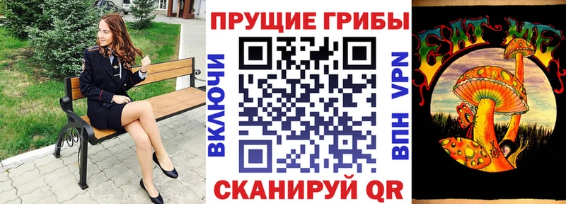 Псилоцибиновые грибы Psilocybine cubensis  Щёлково 