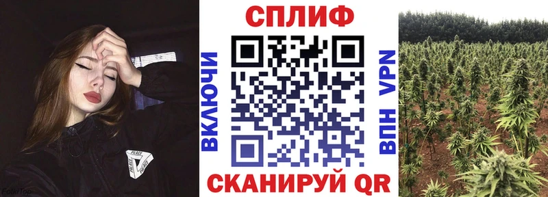 МАРИХУАНА тримм  Щёлково 